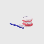 Macromodelo + Cepillo