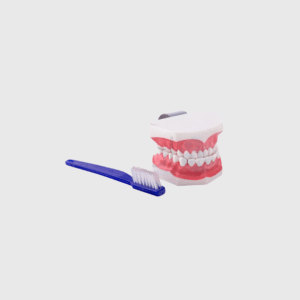 Macromodelo + Cepillo